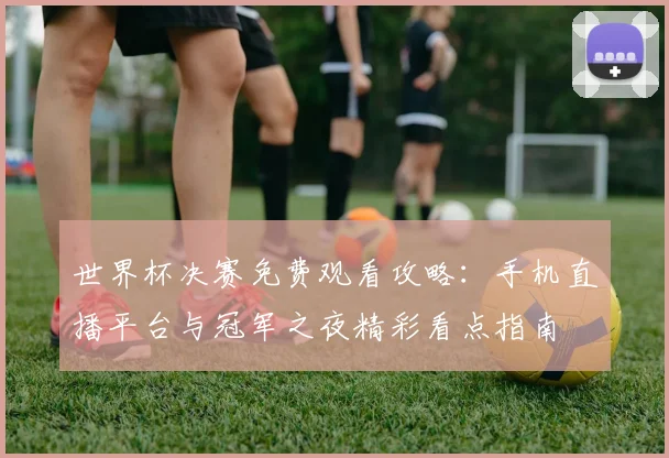 世界杯决赛免费观看攻略:手机直播平台与冠军之夜精彩看点指南
